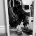 SOB NELLY (@yaeeezoee) Twitter profile photo SOB NELLY (@yaeeezoee) Twitter profile photo