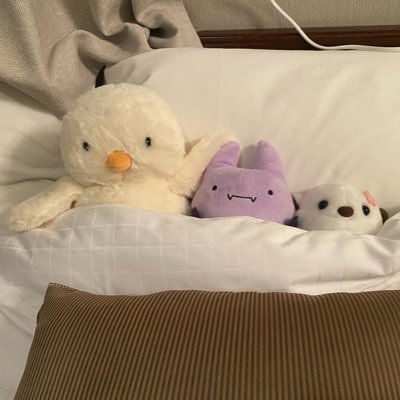 ImprezaSti301's profile picture. MD(皆大好き)Kyoぽむ 自動車整備士で、車と自衛隊とモタスポ＆RQ好き。 神推しはちむこっこ 生田ちむ🐈さん #teamちむぽむ ＆霧島聖子さん🐔 #霧島部屋 津田知美さん👍 #荏崎ろあ さん 水瀬琴音さん #こちゃの輪 鈴乃八雲さん 林紗久羅さん 仲美由紀さん PaRet朝陽唯ちゃん TEAMWAZURAI