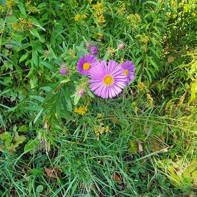 Shelynne198464's profile picture. 