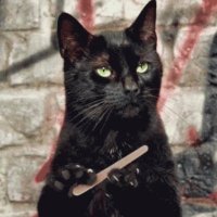 LittleEnzo789 (@789ezcallmex) 's Twitter Profile Photo LittleEnzo789 (@789ezcallmex) 's Twitter Profile Photo