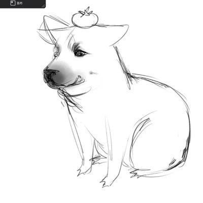 hemerrr0104's profile picture. 中国人🇨🇳aot levihan|aph 西ロマdover