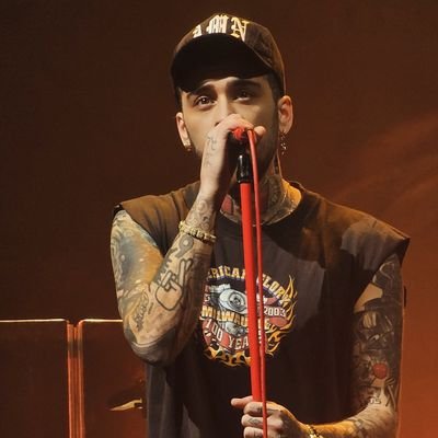Use your brain, appreciate art don't discriminate what you don't understand - Zayn. .26. 🇦🇷 .