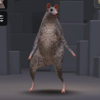 Mini (@xqm_mii) 's Twitter Profile
