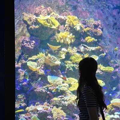 Mengyuan0007's profile picture. 