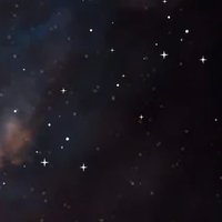 MariaJose Molina (@mj_bio) 's Twitter Profile