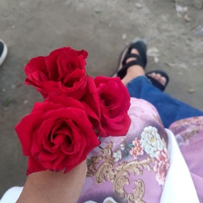 lamiaZ76861's profile picture. Mining dreams⛏️ | Trading realities📉📈 | Blockchain believer | #Bitcoin maximalist on weekdays, altcoin lover on weekends.