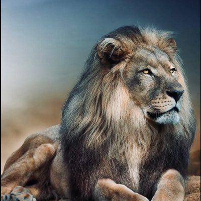 mansabshahid1's profile picture. Politics
