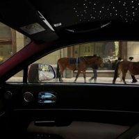 H.a (@_almjraad) 's Twitter Profile Photo