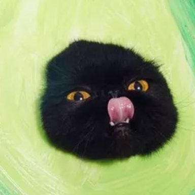 avocatuniverse's profile picture. 