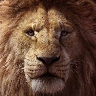 SiKiKiNiKi's profile picture. 