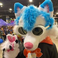 Glasses Jacket Shirt Man (@floofywhitefox) 's Twitter Profile