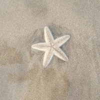 KH (@zm_091) Twitter profile photo