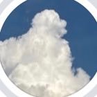 loly (@beingghzlan) 's Twitter Profile