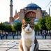 ELVAN IŞIK (@elvan9398) Twitter profile photo ELVAN IŞIK (@elvan9398) Twitter profile photo