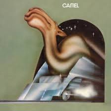 Fan of Canterbury Scene and Prog. Think Camel, Caravan, Soft Machine, Rush, Floyd, Genesis, Yes, Porcupine Tree, Pineapple Thief, Pattern-Seeking Animals, KC.