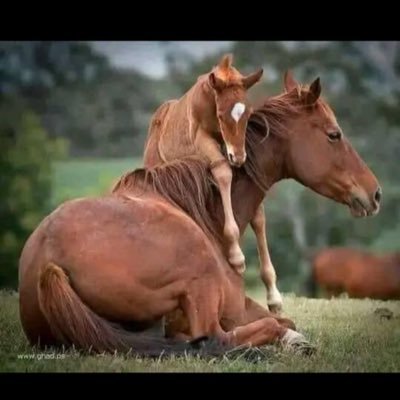 omerftm0's profile picture. 