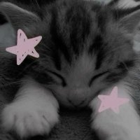 saffy (@saffysin) 's Twitter Profile