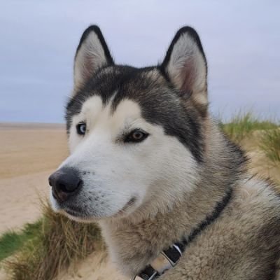 Frosty4344's profile picture. 