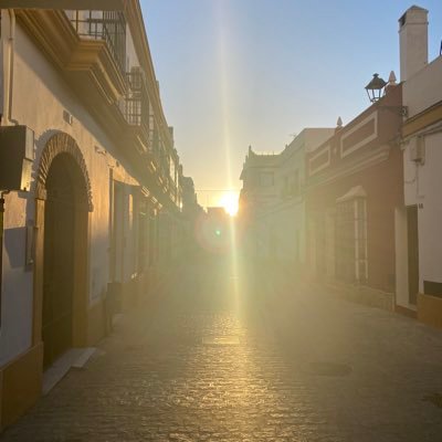 JesusJoseGarc19's profile picture. 