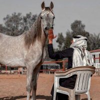 وسمي الشمري 𓅃 (@wh_m90) 's Twitter Profile