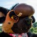 Dumb Peanut ๐FD (@shep_reese) Twitter profile photo Dumb Peanut ๐FD (@shep_reese) Twitter profile photo