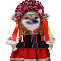 Maria 🇺🇦Wolansky 🇺🇦🎶 🇨🇴🇺🇸NAFO DOKO (@traviata136) 's Twitter Profile