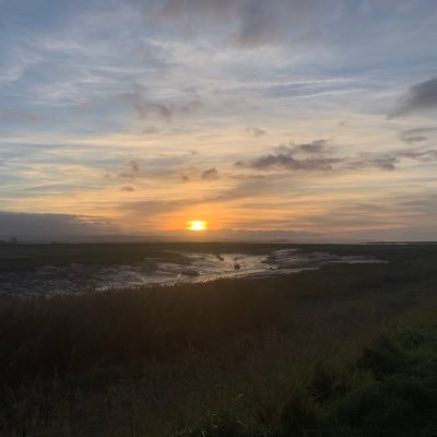 JessRShiner's profile picture. 