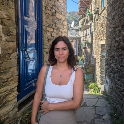 HollanderEinav's profile picture. 