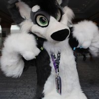 Maverick_the_doggo (@maverick_doggo) 's Twitter Profile Photo Maverick_the_doggo (@maverick_doggo) 's Twitter Profile Photo
