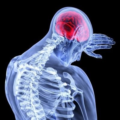 MatinPhysi11287's profile picture. physiotherapist