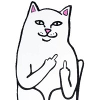 Si TooFly (@papatoofly) 's Twitter Profile