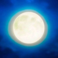 福月 (@s2_truth) 's Twitter Profile