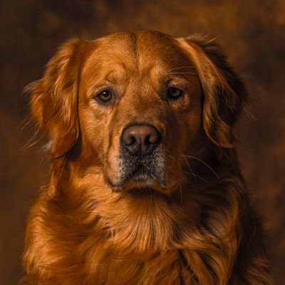 RuleGoldenz's profile picture. 