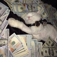Viosk (@vioskthegoat) 's Twitter Profile Photo
