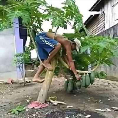 EomVannak25787's profile picture. 