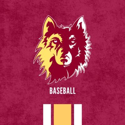 Northern State Baseball Profile