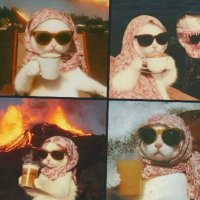 Pisîk (@pisk1061461) 's Twitter Profile Photo Pisîk (@pisk1061461) 's Twitter Profile Photo