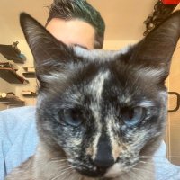 Manu (@manupl131) 's Twitter Profile