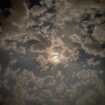 nouranas133's profile picture. 