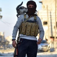 edok'taki çaycı er (@tasnifdisii) 's Twitter Profile