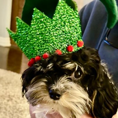 PAClearyClark's profile picture. Chatelaine of Creemore’s Country Manor