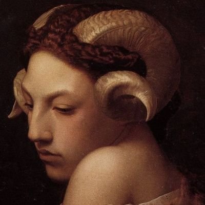 vilain_crotale's profile picture. junkyard dog