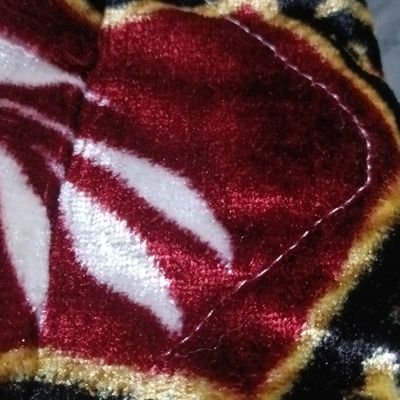 Pelu0503's profile picture. Práctico, crítico y con un estilo único