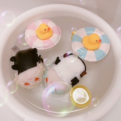 人には人の乳酸菌さんのプロフィール画像