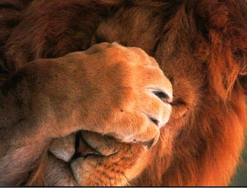 50sl16's profile picture. 