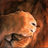 50sl16's profile image