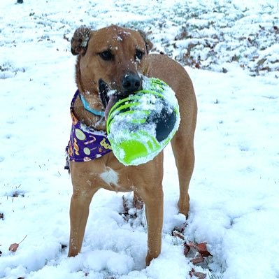 oceans022's profile picture. 