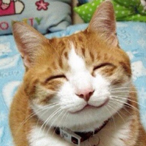 aki_M28's profile picture. ナルコレプシー兼昼行灯。純愛系エロゲマイスターの称号を友より賜る。カルデア職員かつ花騎士団長。最近旅人になりました