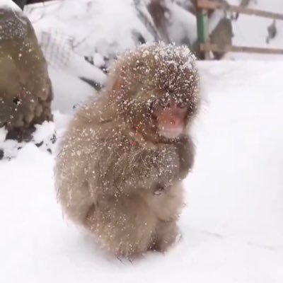 mo71927's profile picture. 