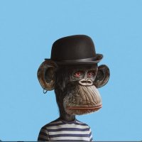 ππ‘ππ«π€α΅α΅α΅ αΆΚ³ΚΈα΅α΅α΅π¦ (@cryptoshar82957) 's Twitter Profile